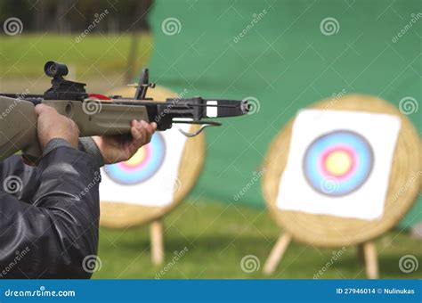 Man Aiming Crossbow at Targets Stock Photo - Image of shooter, hold: 27946014