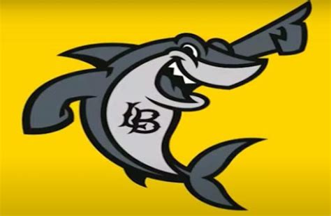 Cal State Long Beach’s new mascot: a non-binary shark who uses plural ...