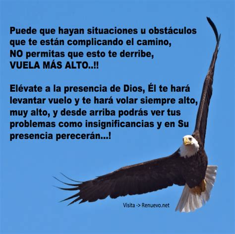 Imagenes de Aguilas Con Reflexiones De Superacion Y Motivacion | Imágenes de águilas, Frases de ...