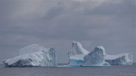 All about ice glaciers and icebergs of the arctic and antarctica – Artofit