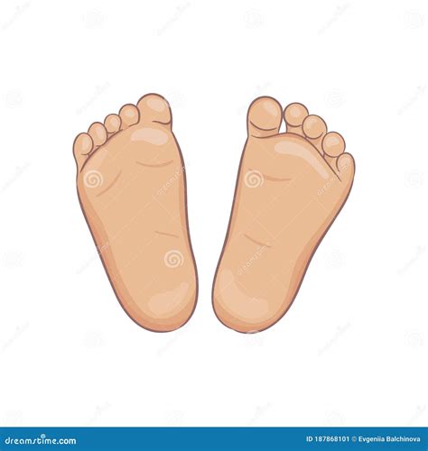 Bottom Feet Stock Illustrations – 222 Bottom Feet Stock Illustrations, Vectors & Clipart ...