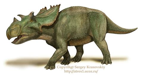 Utahceratops by atrox1 on DeviantArt