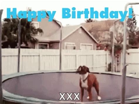 Funny Animals Happy Birthday GIF - FunnyAnimals HappyBirthday ...