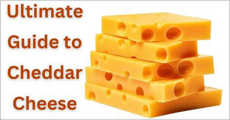 The Ultimate Guide To Cheddar Cheese: History, Types, And Uses - Food ...