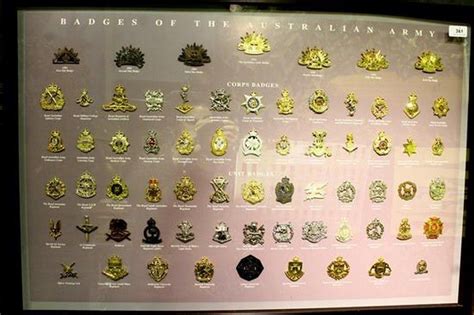 Australian Army Badges Displayed in Framed Mounts - Medals, Badges, Insignia - Militaria & Weapons