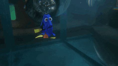 Finding Dory Octopus GIF by Disney/Pixar's Finding Dory - Find & Share on GIPHY