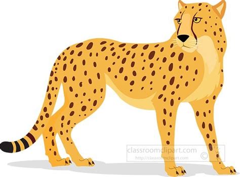 Cheetah Clipart-cheetah gazing over shoulder vector clipart