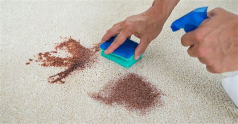 Do's and Don'ts of Stain Removal - Embassy Cleaners