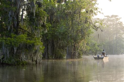 The Atchafalaya