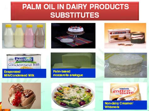 Palm Oil Products