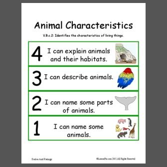 Animal Characteristics