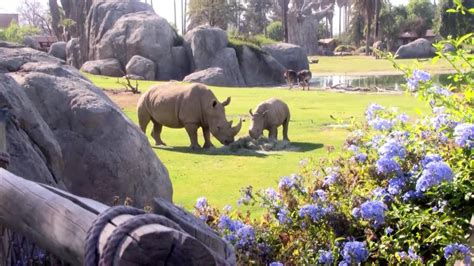 Destination California: Exotic adventures at the Fresno Chaffee Zoo ...