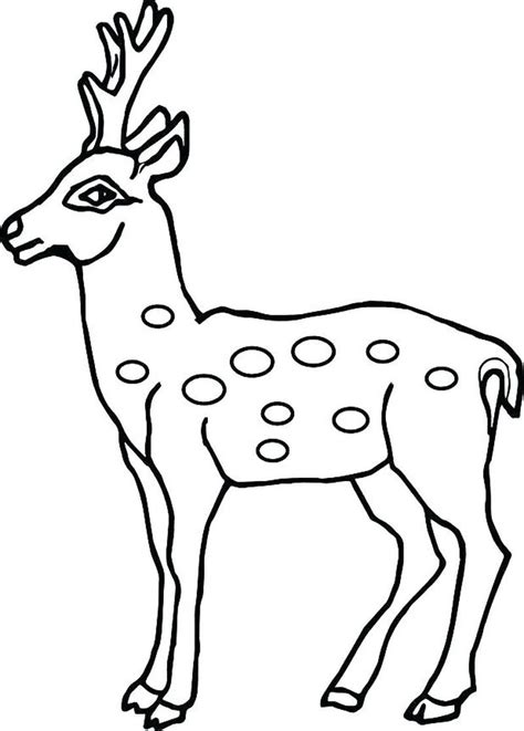 Cool Reindeer Coloring Pages PDF Ideas - Coloringfolder.com | Kitty coloring, Hello kitty ...