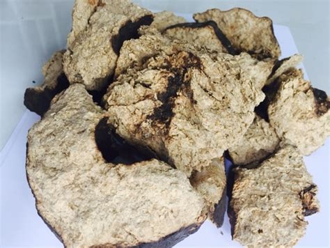 Rice Husk Briquettes Chopped Ash %: 12.81 at Best Price in Ho Chi Minh ...