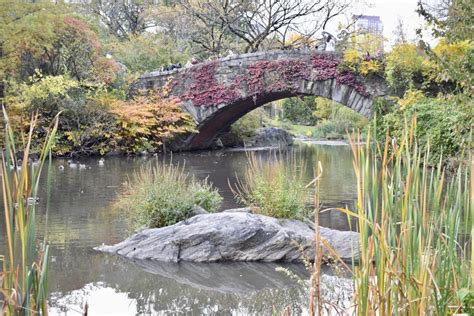 Central Park Fall Foliage Tour - Lyssy in the City