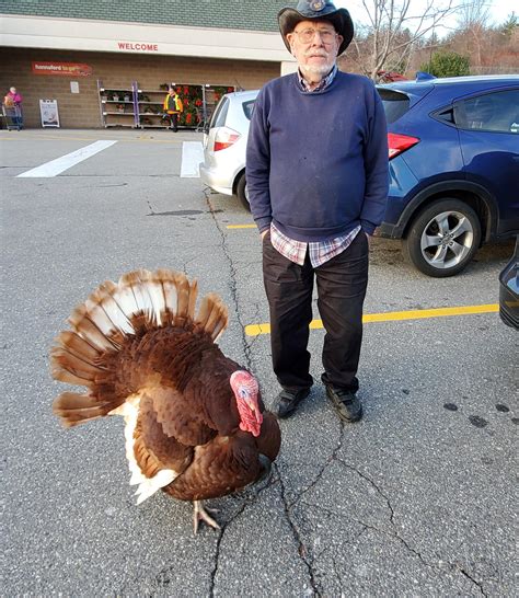 This guy I met at the grocery store had his pet turkey with him