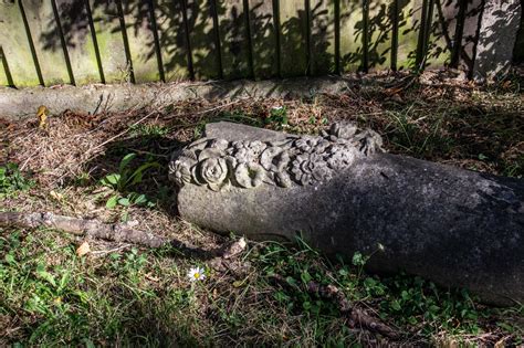 Christ Church Churchyard in Forest Hill - Enthusiastic Gardener