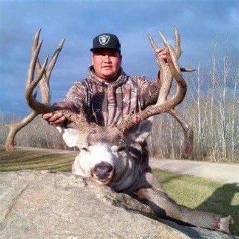 Mule Deer Hunt Saskatchewan - HuntingAgent.com