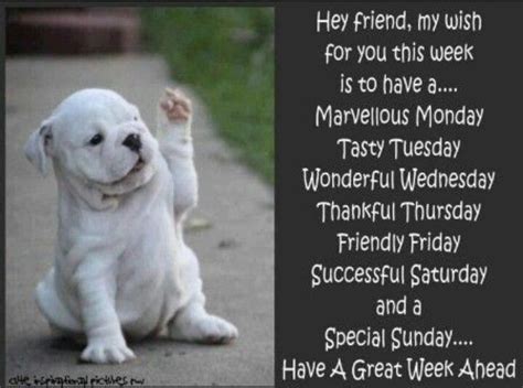 Have a GREAT week! | Hey! ~ HELLO ~ hi | Pinterest