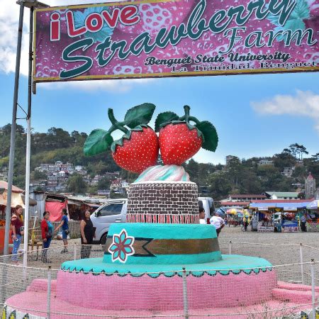 Strawberry Farm - Tourism Office Municipality of La Trinidad