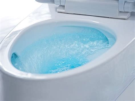 Pros and Cons of Opting for Dual Flush Toilets - Ecofriend