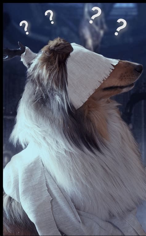 Beast Cutter Hunter & Vicar Amelia cosplay : r/bloodborne