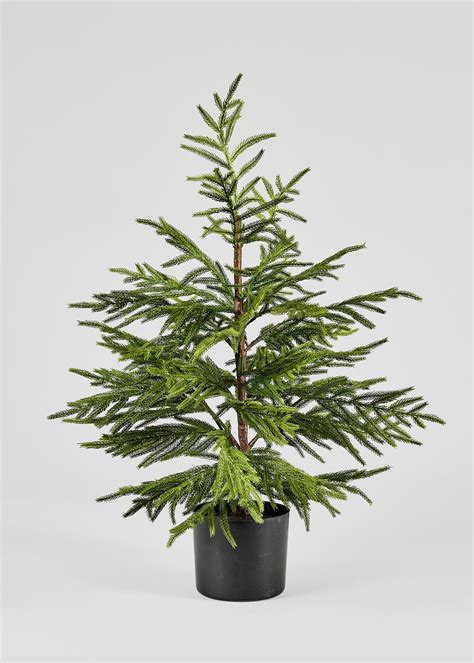 Afloral Artificial Norfolk Pine Tree - 36" | Norfolk pine, Potted ...