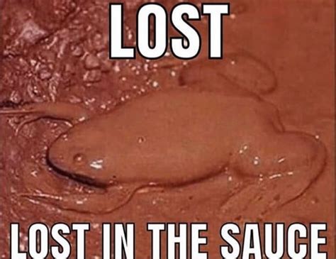 Lost in sauce 😭 : r/frog