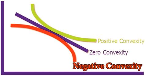 Negative Convexity - Assignment Point