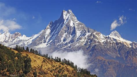 The Himalayas - Local Business Photo Album By Anthony Weeks