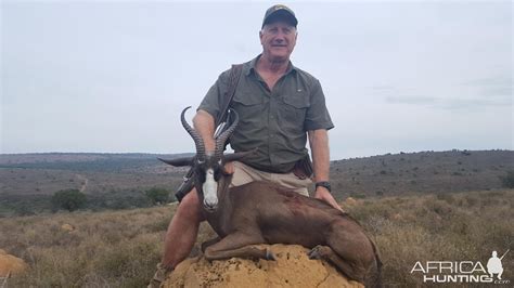 South Africa Hunt Black Springbok | AfricaHunting.com