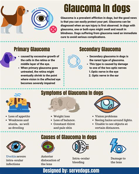 Glaucoma In dogs - Symptoms - Causes - Treatment.