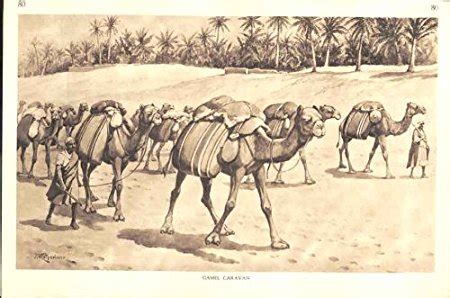 Camel Caravan Drawing at GetDrawings | Free download