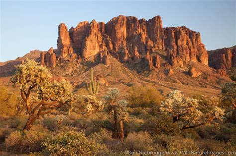 Lost Dutchman State Park | Photos by Ron Niebrugge