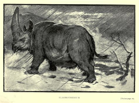 Science Art: Elasmotherium by Alice B. Woodward, 1912. - The Guild of Scientific Troubadours