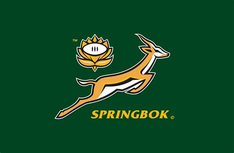 Springbok Rugby Logo