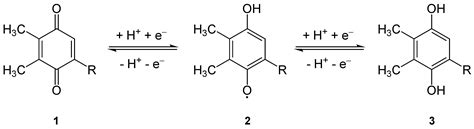 The structures of plastoquinone A and its reduced form, plastohydroquinone (or plastoquinol ...