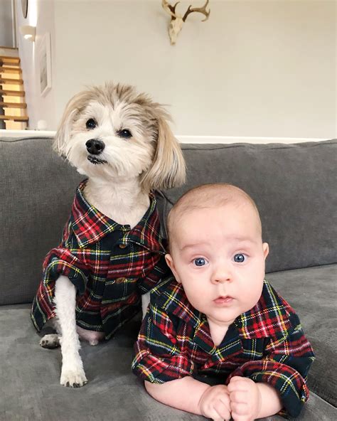 Dog and Baby | Matching flannel outfits | Dog clothes, Dog allergies ...