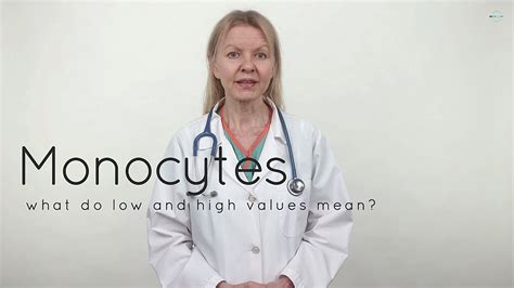 Monocytes - Low, High, Normal Values, Functions - YouTube