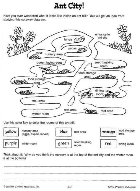 Cool Ant Worksheets | Ants worksheet, Ants, Ant unit study