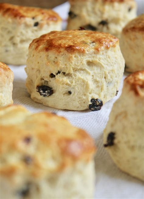 sultana or raisin scones | Scones recipe uk, Fruit scones recipe, Best ...