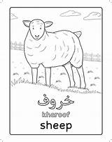 Arabic Farm Animals Coloring Book arabic Learning  sketch template