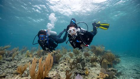 Journée Women's Dive Day | PADI