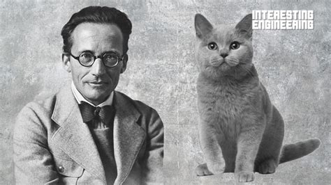 Schrödinger’s Cat Explained So You Can Finally Understand It