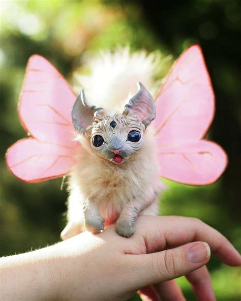 Baby winged elfcat poseable art doll | Etsy | Art dolls, Art, Elf cat