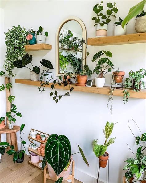 12 Creative Plant Shelf Ideas to Display Your Greenery | Room with ...