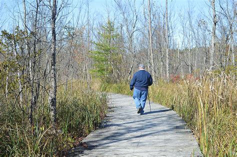 Indian Springs Metropark: Woodland Trail