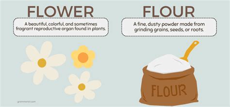 Flour and Flower - What's the Difference?