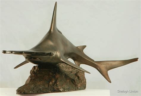 "Great Hammerhead Shark sculpture" by Shelagh Linton | Redbubble