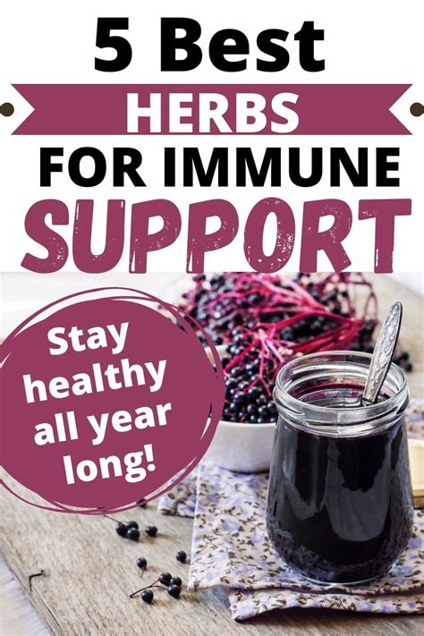 5 Herbs To Support A Healthy Immune System - A Radiantly Healthy Life